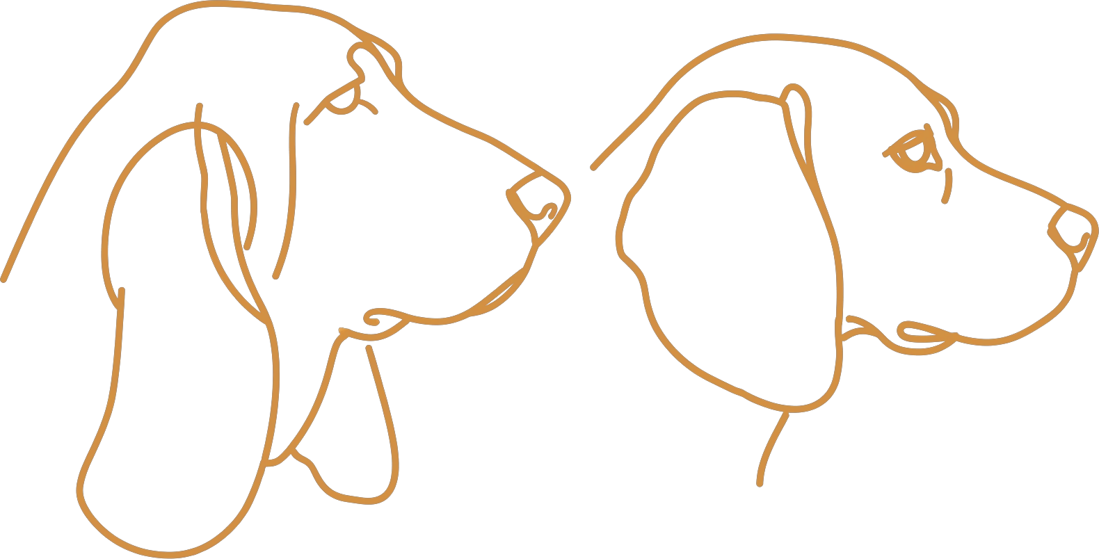 Cask & Hound logo: line drawing of a basset hound and a beagle
